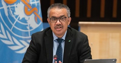 La Nación / Para la OMS, todas las hipótesis siguen abiertas
