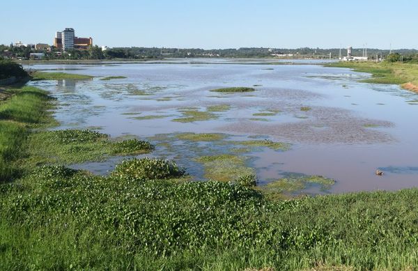 Arroyo Potî'y está convertido en un enorme sumidero de aguas negras - Nacionales - ABC Color