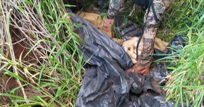 La Nación / Incautan 150 kilogramos de marihuana en reserva natural de Itaipú