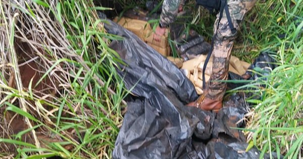 La Nación / Incautan 150 kilogramos de marihuana en reserva natural de Itaipú