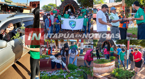 MARIA AUXILIADORA: ENTREGARON 2000 PLANTINES EN EL SEMÁFORO.