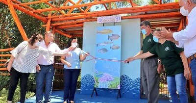 La Nación / San Cosme y Damián suma novedoso atractivo turístico con primer acuario de la ciudad