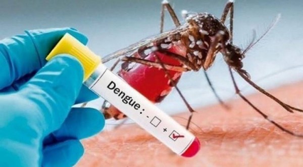 Dengue: 96 casos confirmados y más de 500 notificaciones por semana