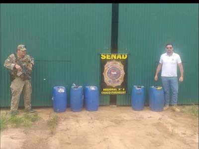 Operación San Valentín: Detectan y destruyen pista clandestina para tráfico aéreo de drogas en el Chaco | Ñanduti