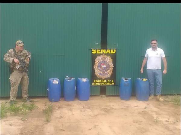 Operación San Valentín: Detectan y destruyen pista clandestina para tráfico aéreo de drogas en el Chaco | Ñanduti