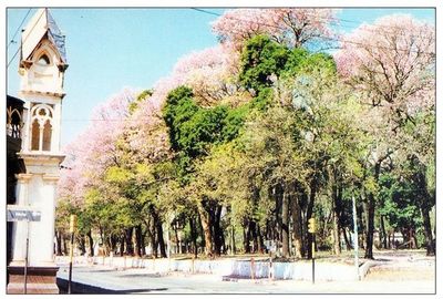 Un regreso a la Plaza (I) - Cultural - ABC Color