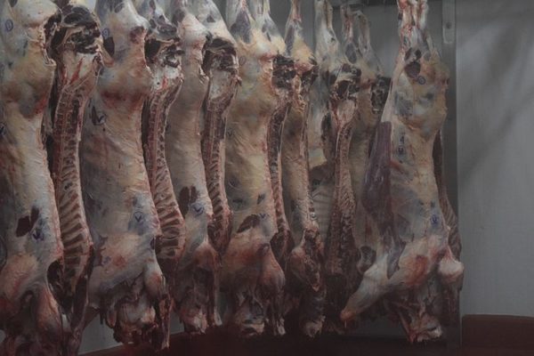 Importación uruguaya de carne en enero fue la menor desde abril del 2019