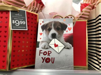 El amor por los perros transforma San Valentín - Mascotas - ABC Color