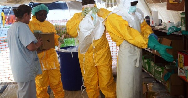 La Nación / El Ébola, retrato de un virus asesino