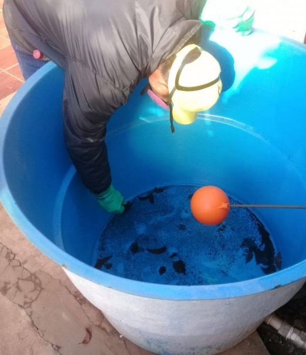Aumentan las notificaciones de dengue en Central e instan a eliminar criaderos | .::Agencia IP::.