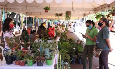 Conjugan feria con turismo en Hernandarias