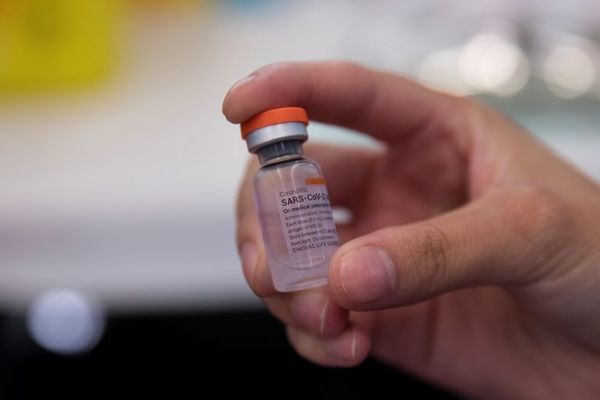 COVID-19: aún no hay datos sobre cantidad de vacunas que estarán disponibles - Nacionales - ABC Color