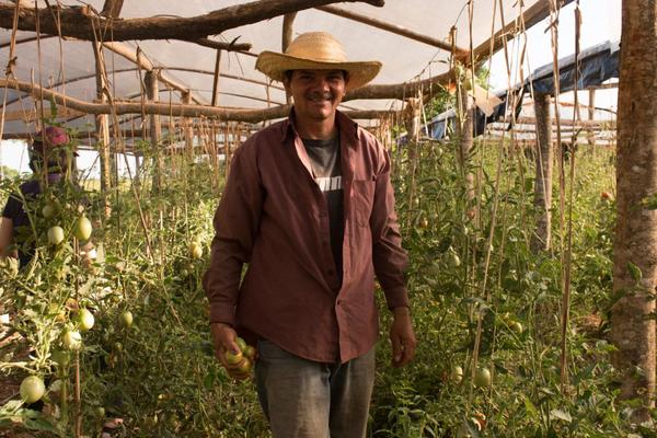 Red de comercialización facilita venta de productos campesinos beneficiando con ingresos dignos a varias familias