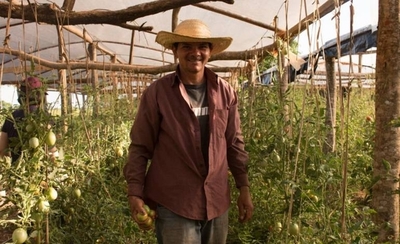 HOY / Implementan red de comercialización para facilitar venta de productos campesinos