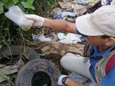 Aumentan las notificaciones de dengue en Central | OnLivePy