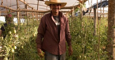 La Nación / Sin intermediarios, Teko Katu acerca productos del campo directo al consumidor