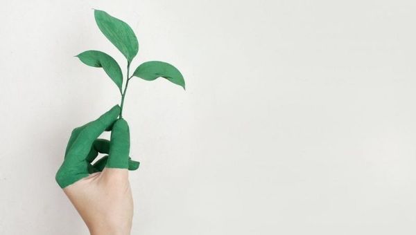 ¿Por qué el marketing verde debería ser parte de la cultura de las empresas?