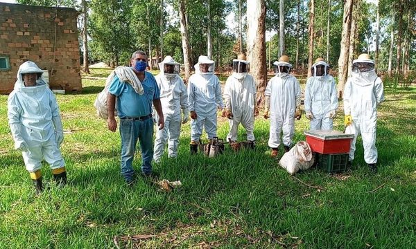 Asisten a productores apícolas del Alto Paraná