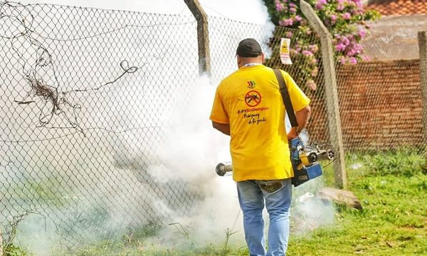 Dengue: 537 notificaciones de casos sospechosos por semana