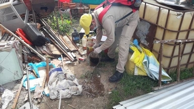 HOY / Concepción: intensifican actividades para eliminar criaderos de mosquitos