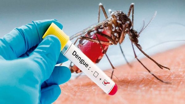 Cifra de afectados por dengue a nivel país sigue en aumento