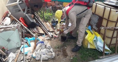 La Nación / “No saben identificar los criaderos de mosquitos”, dice director de Senepa de Concepción