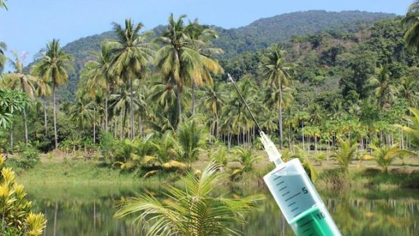 Colombia busca adelantar vacunación en Amazonas