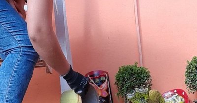 La Nación / Dengue a nivel país sigue en aumento