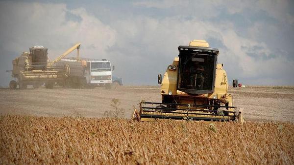 Cosecha de soja se encarece casi 10% por suba de gasoil