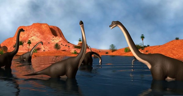 La Nación / Un cometa de los confines del sistema solar acabó con los dinosaurios