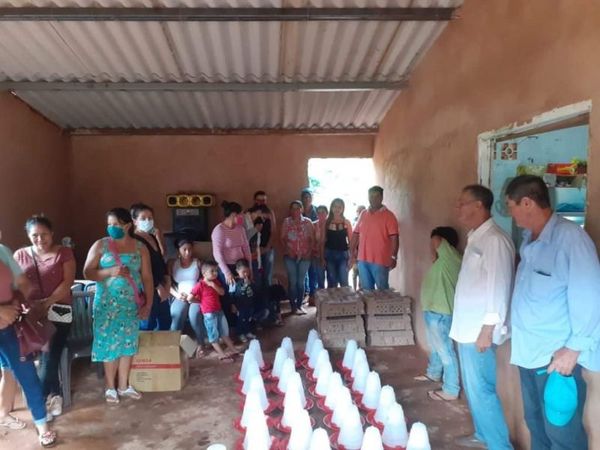 Criar pollos de corte para producción de carne podría ser una importante fuente de ingreso