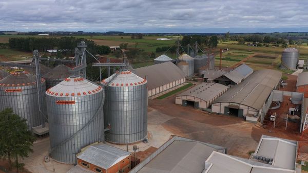 Cooperativa Sommerfeld con potencial para más producción de balanceados