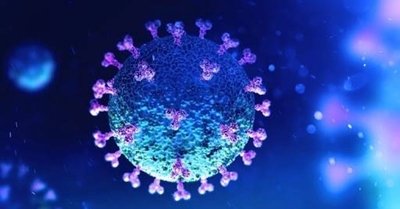 HOY / Sistema endócrino de la vitamina D reduce afectación pulmonar por Covid-19