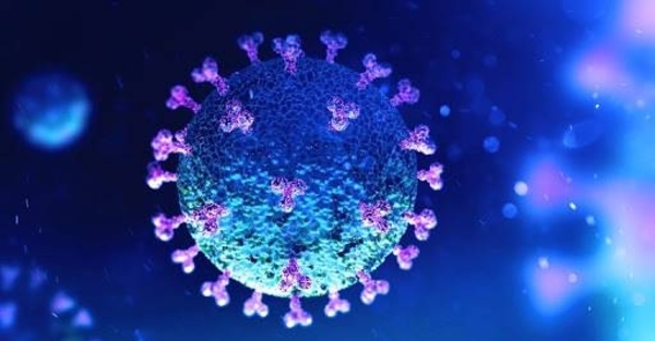 HOY / Sistema endócrino de la vitamina D reduce afectación pulmonar por Covid-19