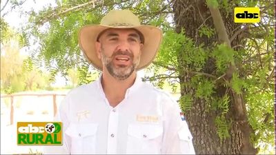 ABC Rural: Ganadería en La Patria, Chaco, e incursión a agricultura - ABC Rural - ABC Color