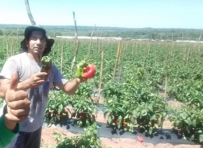 Crónica / De sacoleiro a jugador y ahora es productor