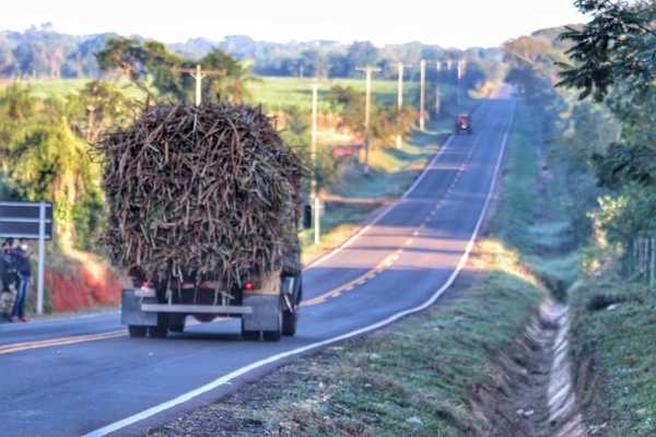 Las obras en la Ruta de la Caña registran 75% de avance general | .::Agencia IP::.