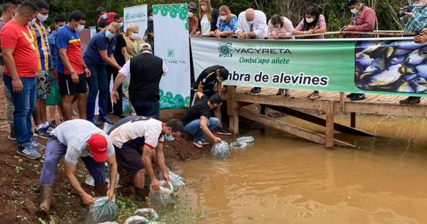 La Nación / Yacyretá entrega un lote de 1.000 alevines de pacú a jóvenes de Cambyretá