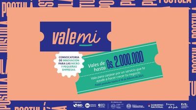 Último día para postularse al programa Valemi