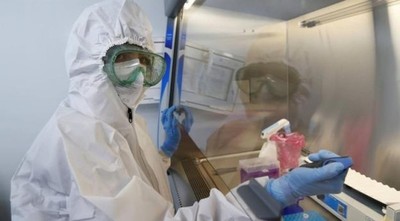 MUNDO | La OMS concluye que la cepa sudafricana no es más mortal que otras