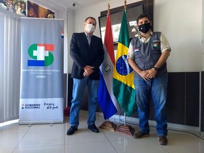 Analizan protocolo para exportar ganado en pie al Brasil - Nacionales - ABC Color