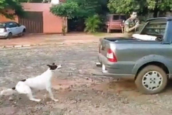Caso "Tyson": Madre e hija se declaran culpables y aguardan sentencia