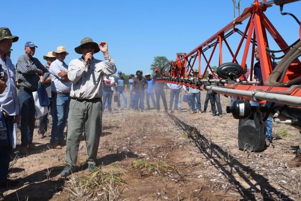 Realizarán la 3° Jornada Técnica de Producción Sostenible de Cultivos de Verano