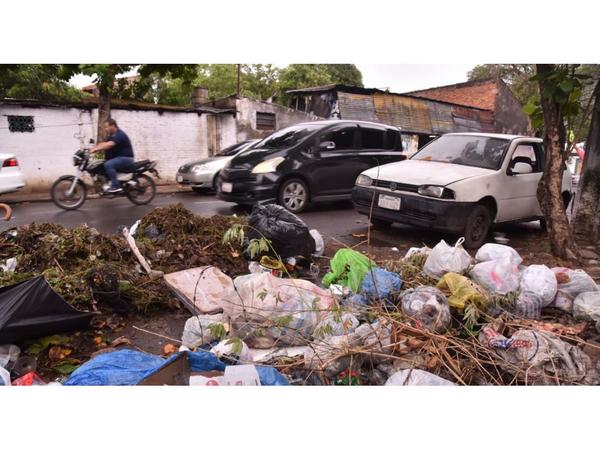 MSP reporta   otra muerte por dengue y una coinfección