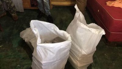 Senad captura a un hombre con cerca de 100 kilos de marihuana en Amambay