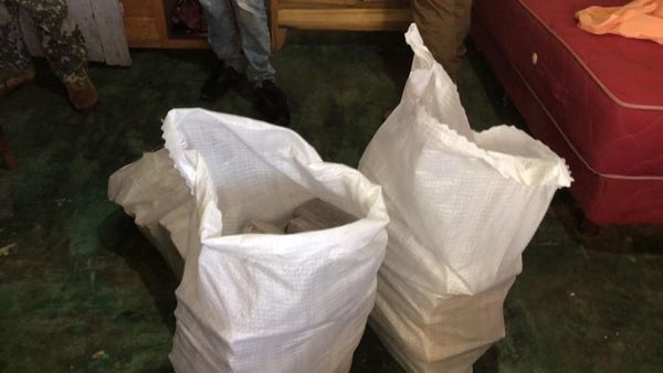 Senad captura a un hombre con cerca de 100 kilos de marihuana en Amambay