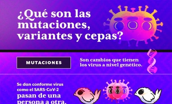 Diario HOY | Primer caso de reinfección tuvo dos linajes distintos del virus