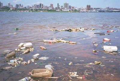 “Hacer la paz” con la naturaleza - Mundo - ABC Color