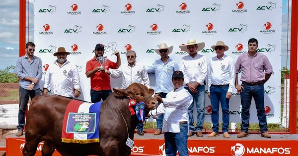 La Nación / Expo Regional Canindeyú se prevé para abril, con “autoshows” por la pandemia