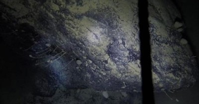 Las extrañas criaturas encontradas bajo el hielo de la Antártida y en plena oscuridad - C9N